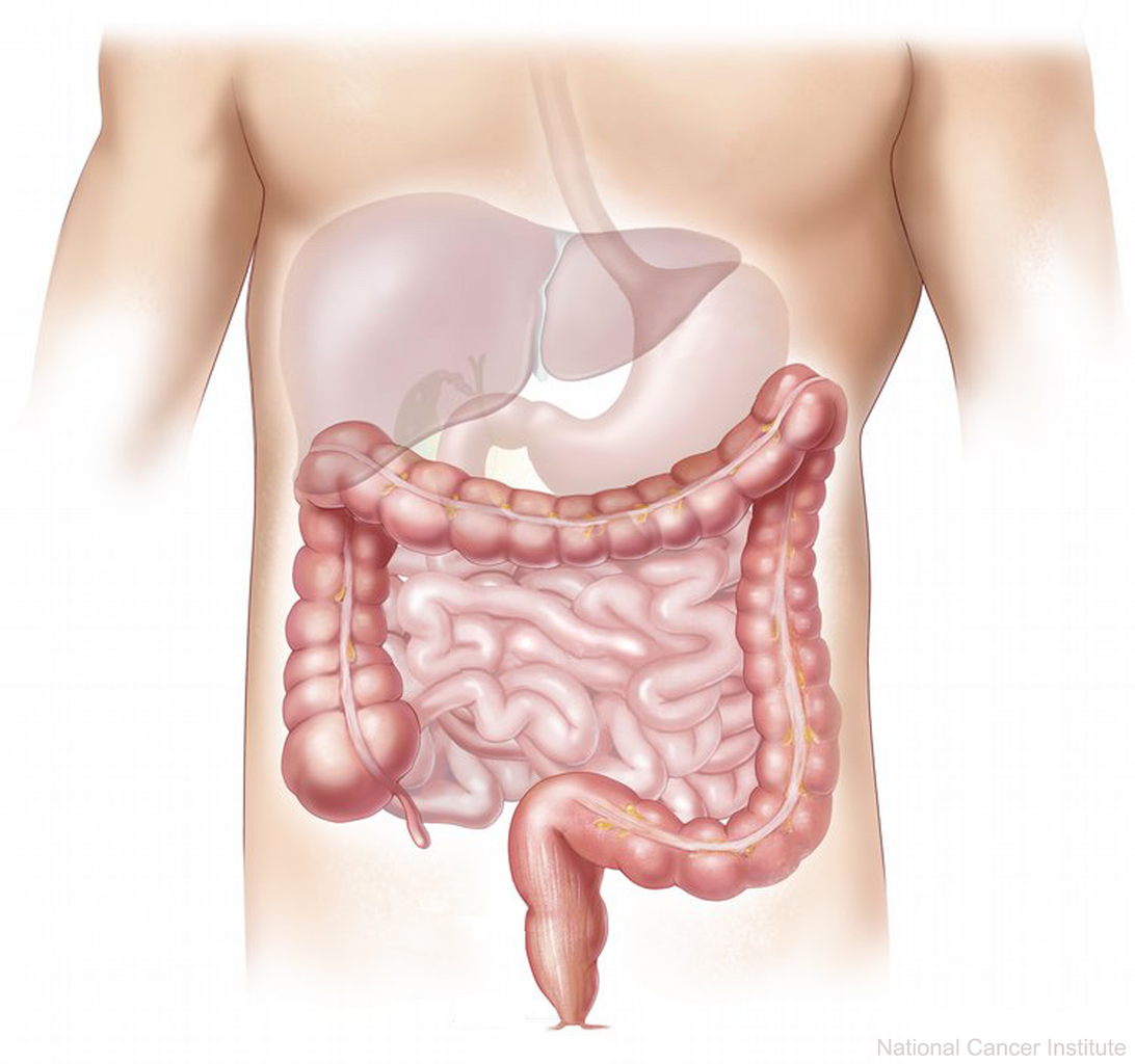 best gastroenterologist beverly hills